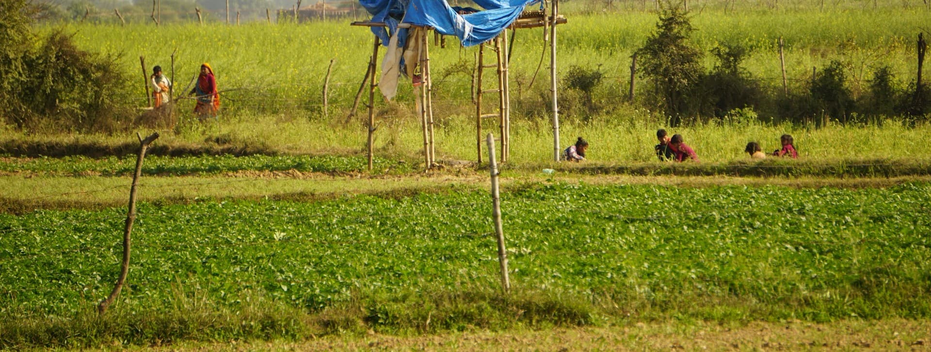 Rural community empowerment