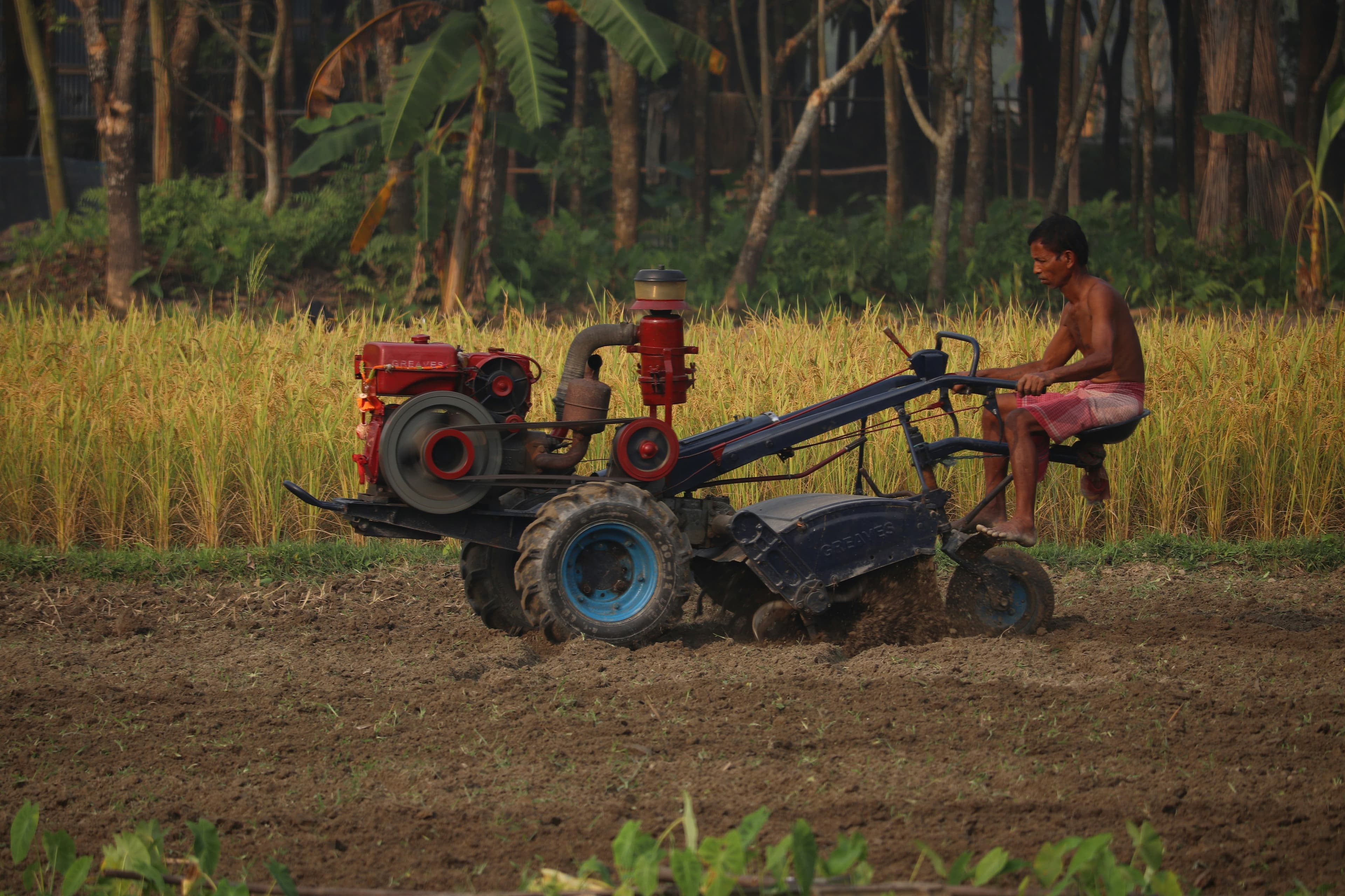 Rural youth in skill training workshop